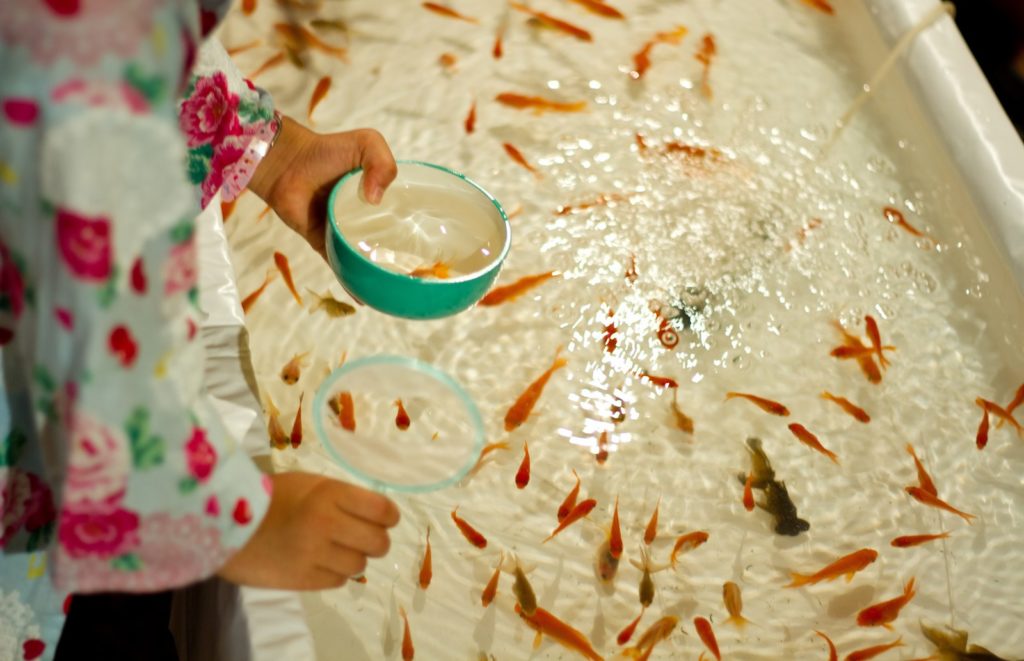 A child scooping goldfish at a Japanese summer festival stall